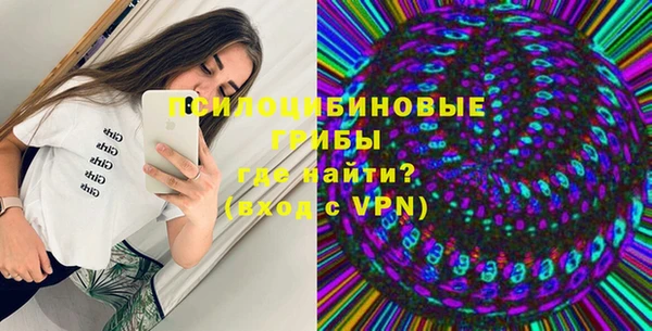 спайс Покачи