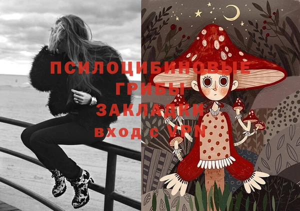 альфа пвп Протвино