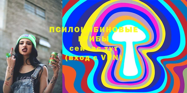 спайс Покачи